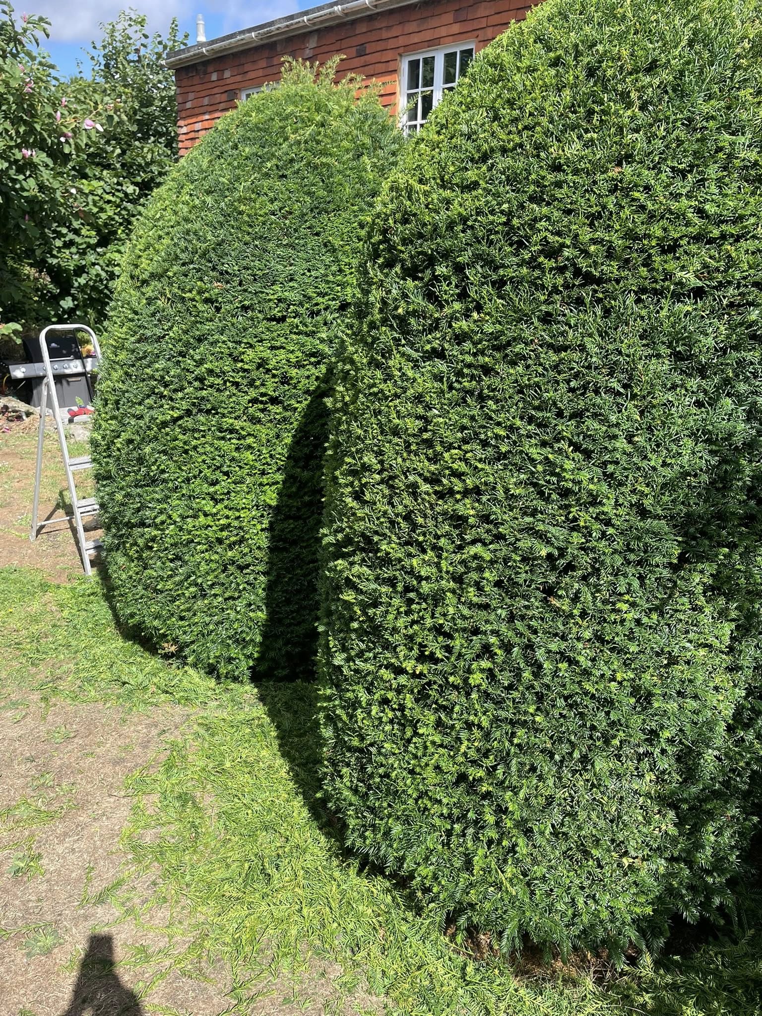 Example garden photo